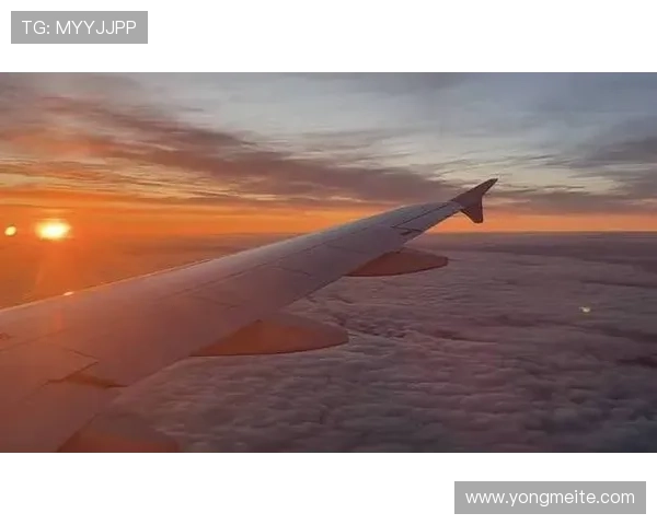 解锁开云下载app教程，解决你在下载中遇到的难题