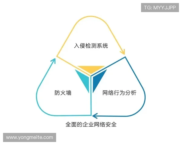 开云手机网页版安全设置的最新优化方案，适应不断变化的网络安全环境